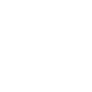 NSP Student Showcase